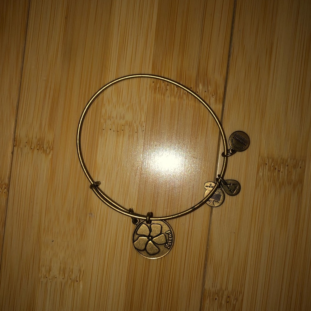 Alex and Ani Bracelet